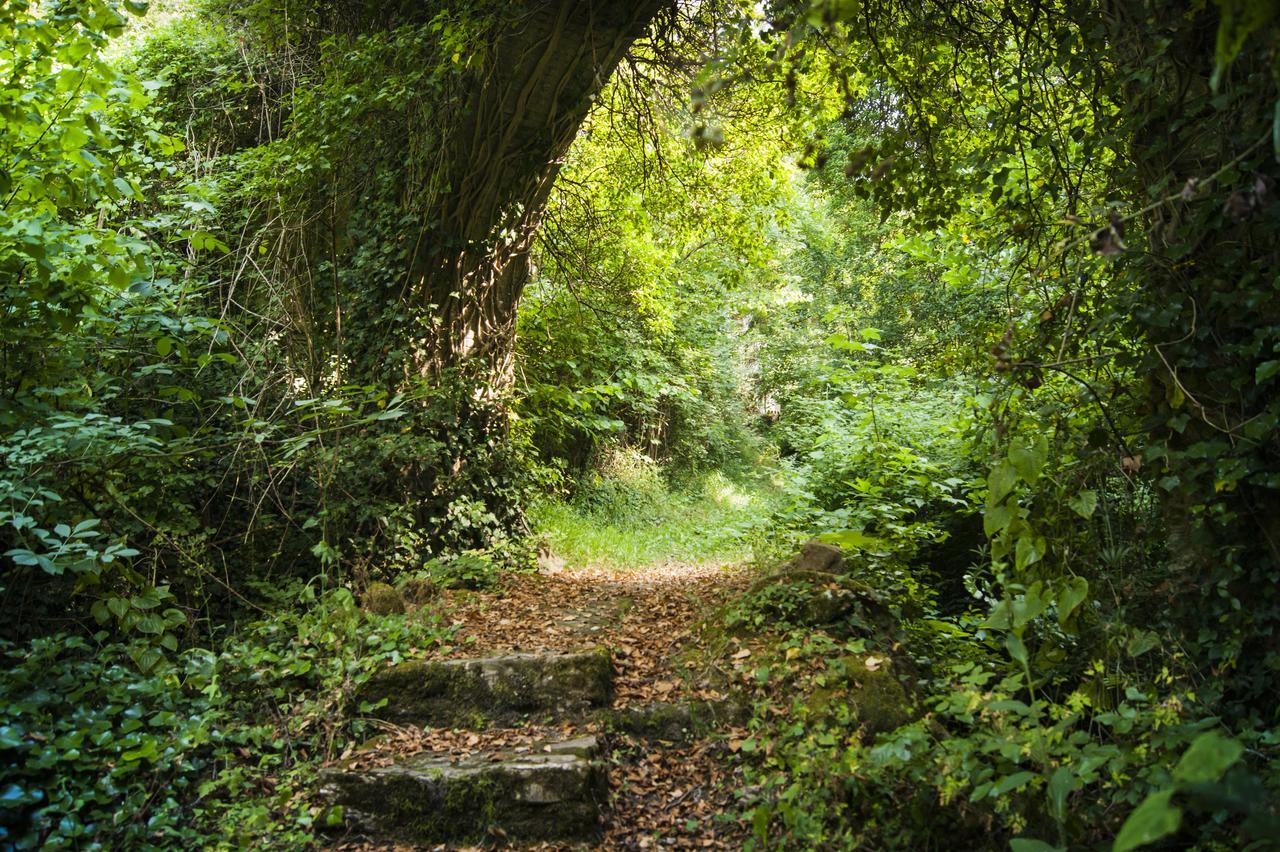 Bed and Breakfast Secret Gardens Borgomaro Exterior foto